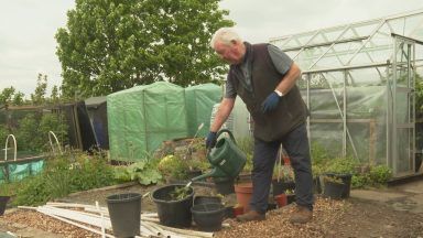 Allotment holders fear being priced out by 400% rent increase by Glasgow City Council