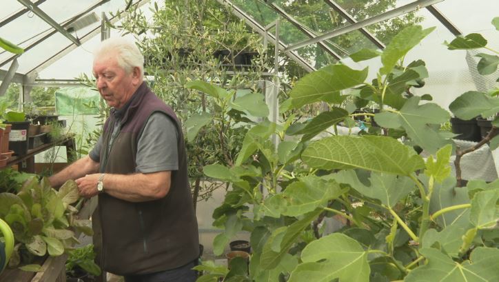 Denis Barrett has rented an allotment for 12 years