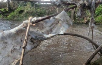 Edinburgh ‘returning to gardyloo’ as raw sewage pumped into capital waterways