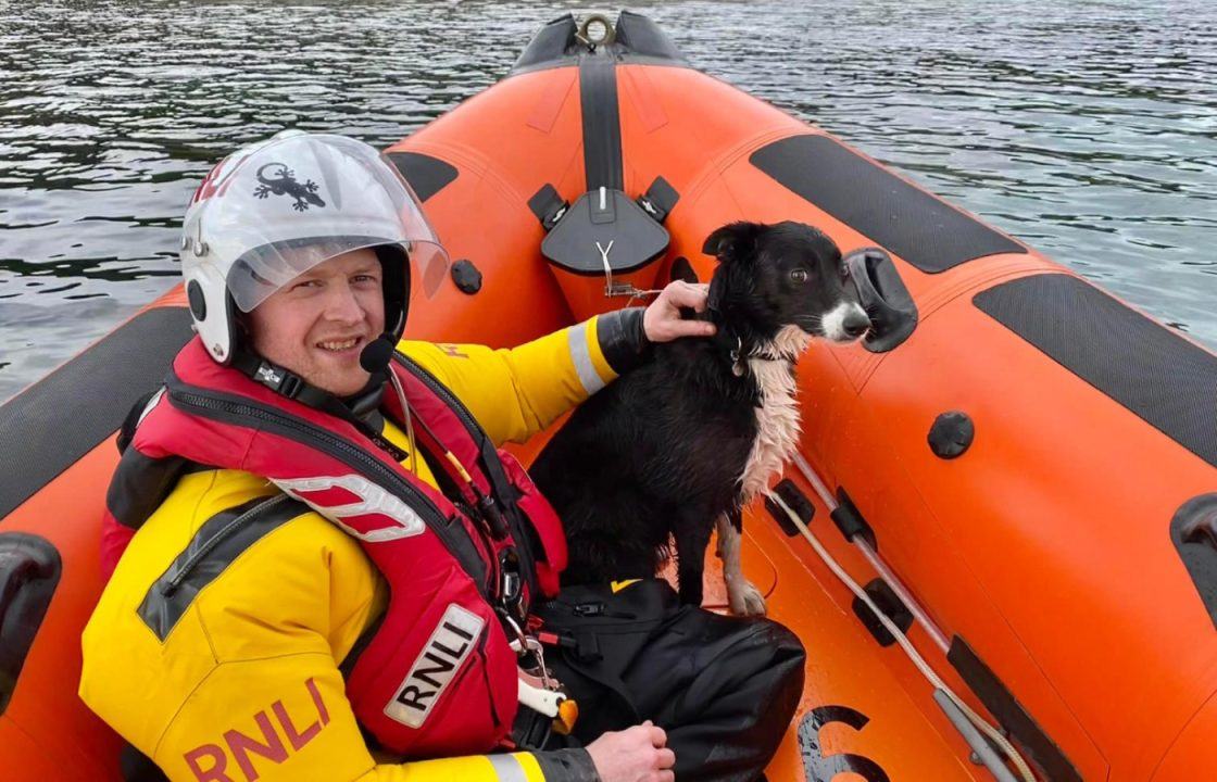Kyle of Lochalsh lifeboat crews rescue stricken dog ‘Skye’ after pet became stuck on submerging rocks