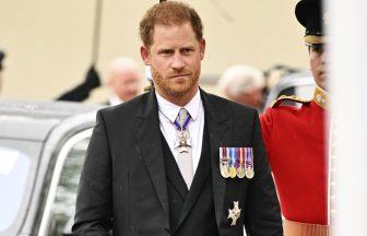 Prince Harry’s ghostwriter recalls ‘frenzied’ response to Spare’s publication