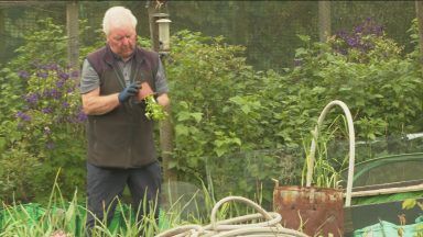 Glasgow City Council to increase allotment fees by 400%