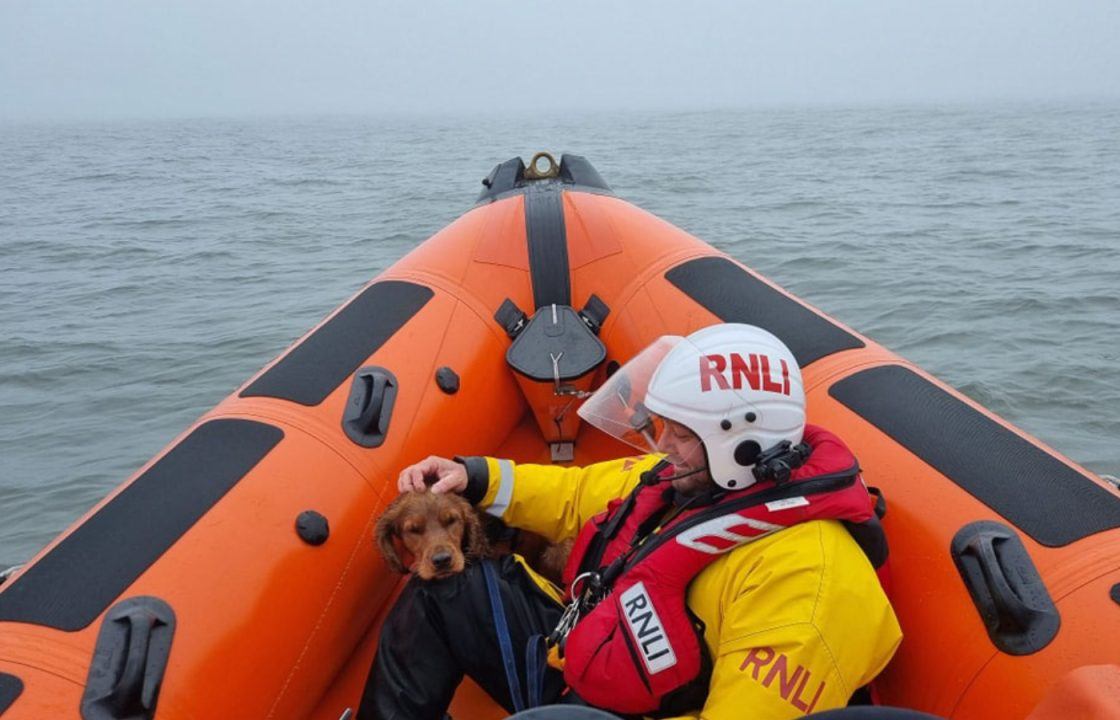 Lifeboat crews from Kinghorn rescue stranded dog in Fife after pet cut off by tide