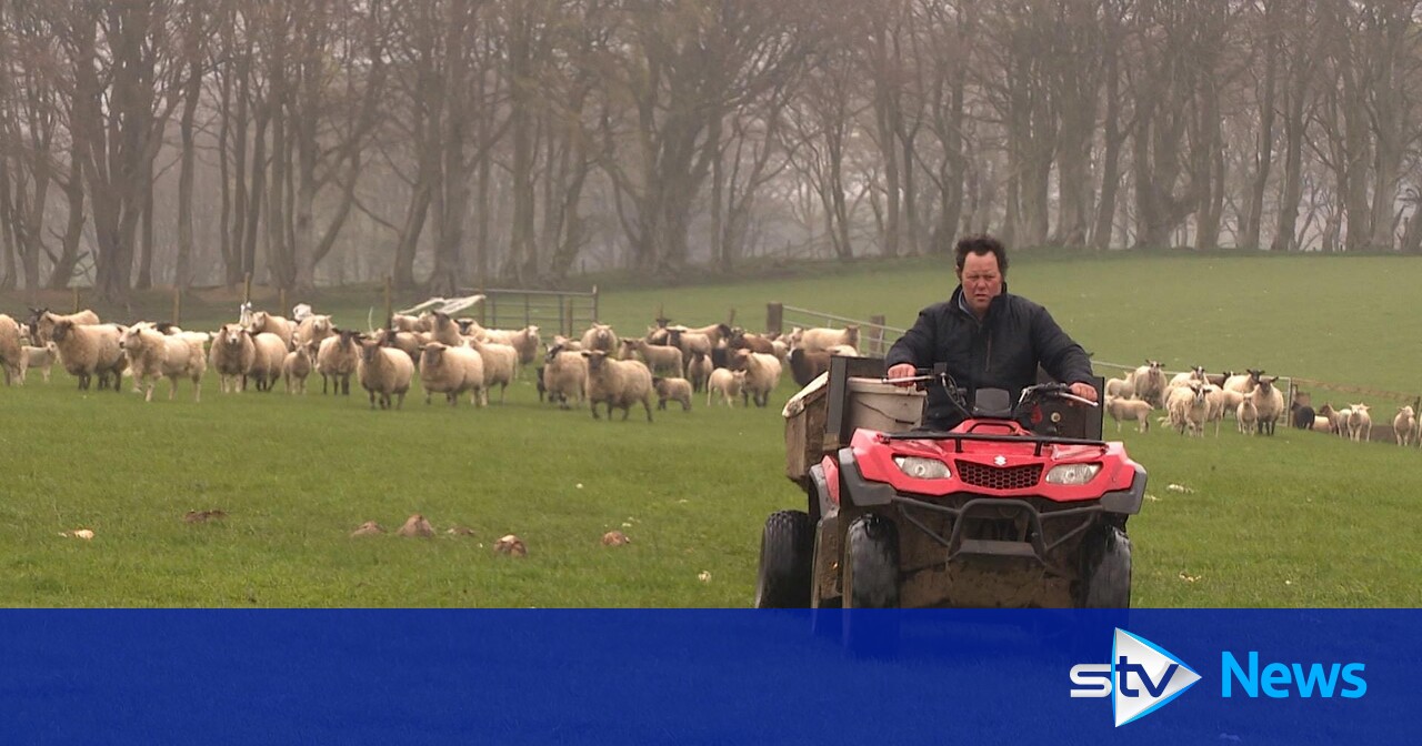 National Farmers Union: Mental health fears for farmers as support ...
