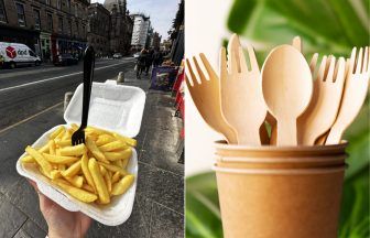 Year of Scotland’s single-use plastic ban: No fines and littered wooden cutlery