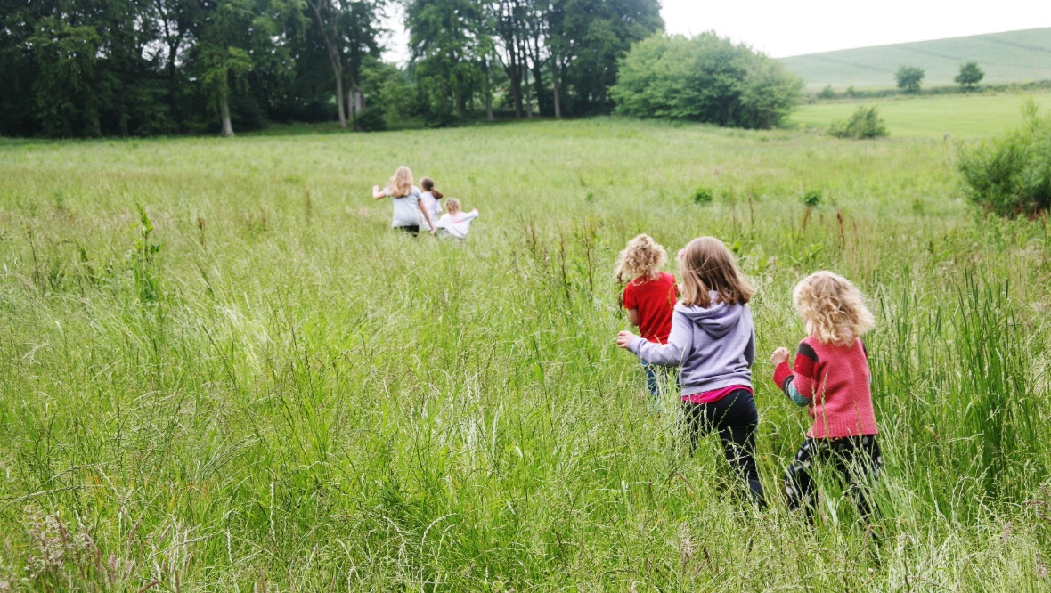 Siblings Reunited STAR reunites brothers and sisters separated in the care system, through adoption, or kinship care. 