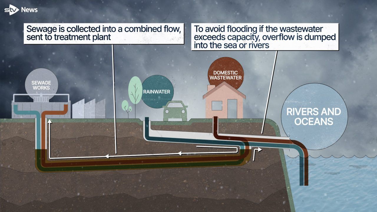 Sewage plant explainer