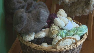 Wool producers hoping to bring new lease of life to industry