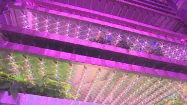 Vertical indoor farms could help sector adapt to climate change