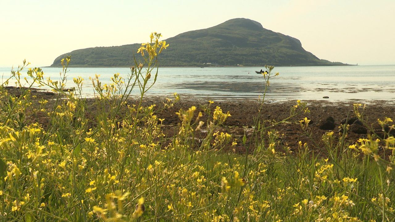 Lamlash Bay: Fishermen claim No Take Zone evidence over protected marine area does not add up