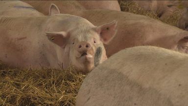 Cost of living crisis high on agenda at Royal Highland Show