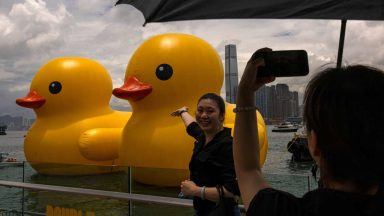 One of two giant ducks in Hong Kong’s Victoria Harbour deflates