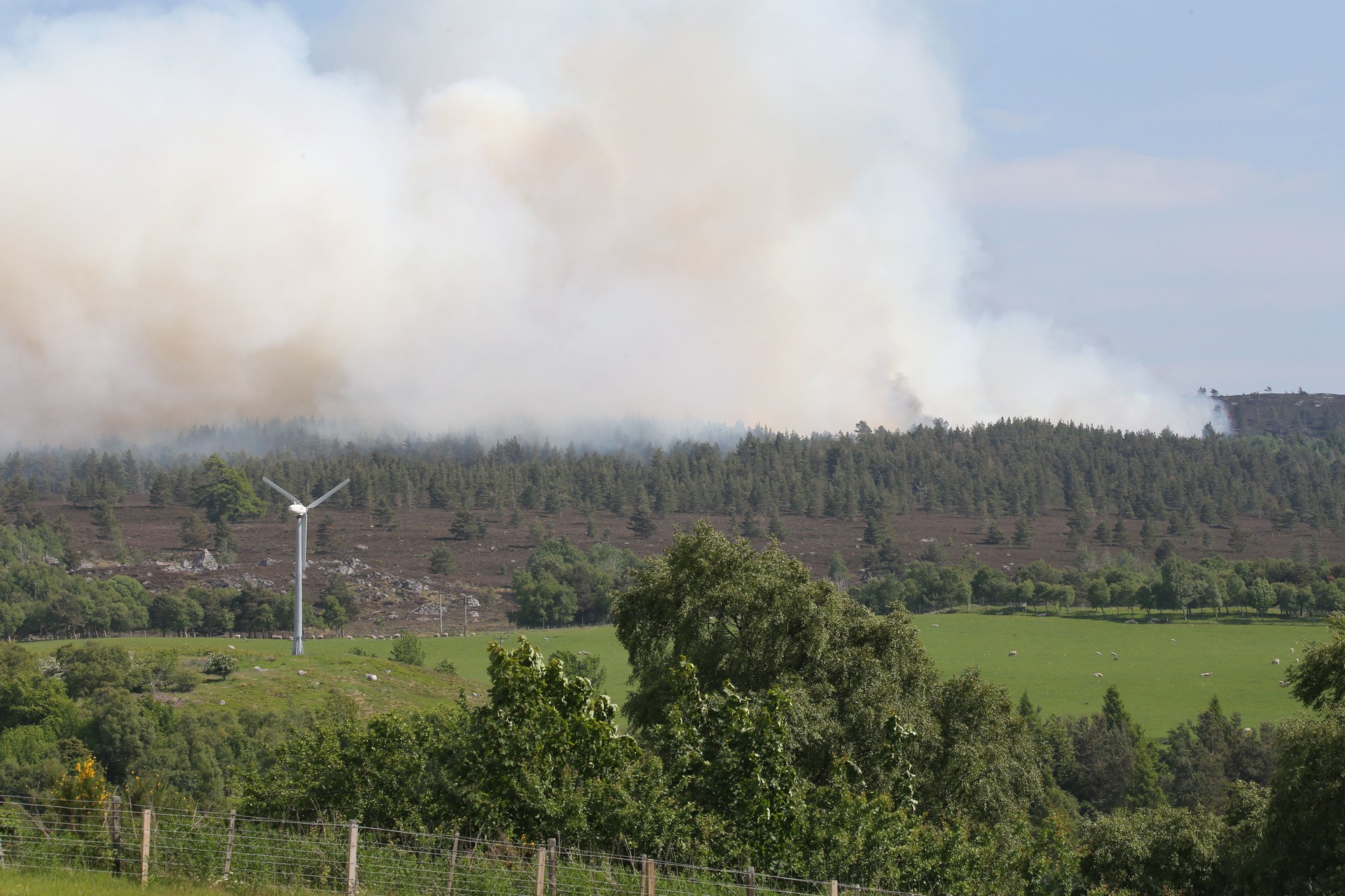 Smoke from the fire could be seen from miles away.