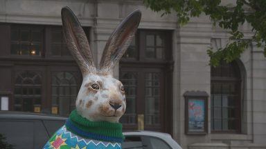 Giant six-foot rabbits hop into Aberdeen as part of charity trail