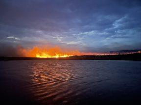 Firefighters battle forest fire in Dumfries and Galloway