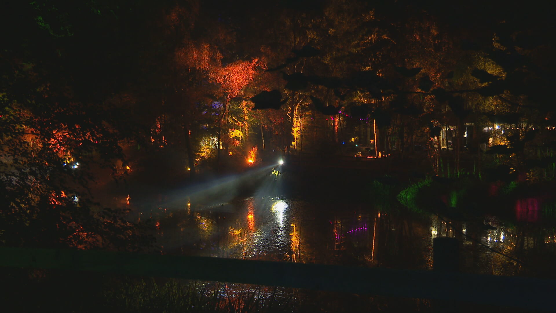 The Enchanted Forest light show helped drum up cash for vital community projects