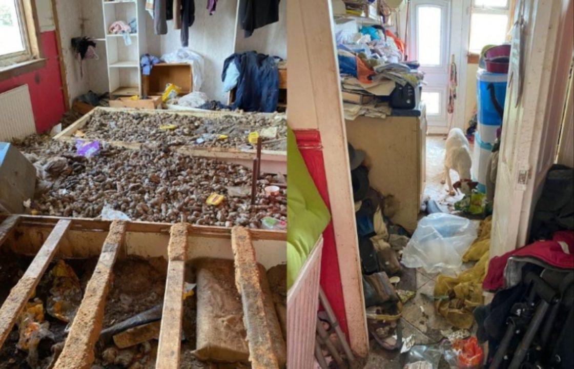 Woman kept cats and dogs in ‘grotesque’ Kilbirnie home ‘overflowing with faeces’