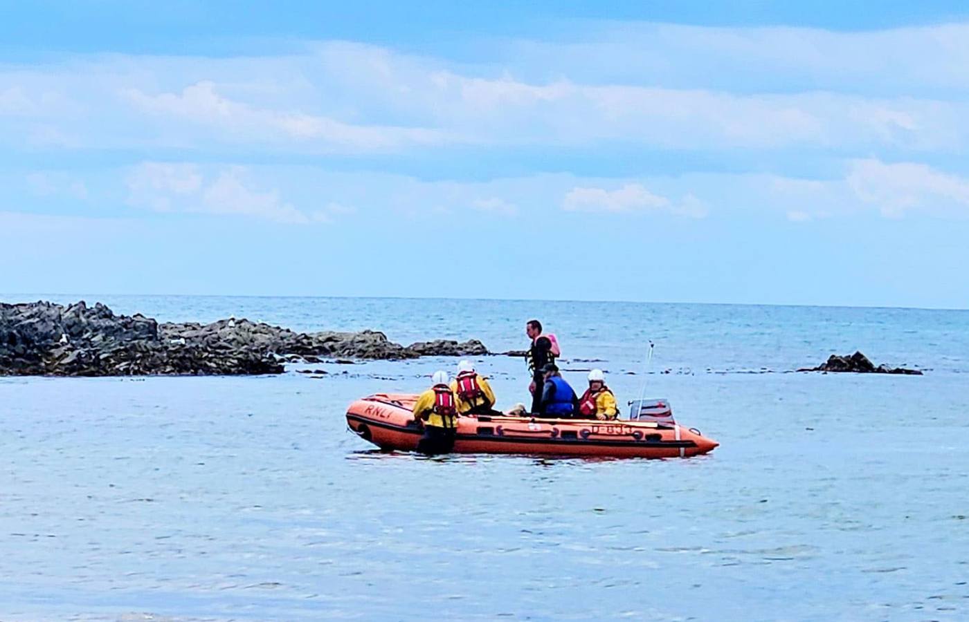 The lifeboat assisted the people in the water while the cattle were brought to shore.