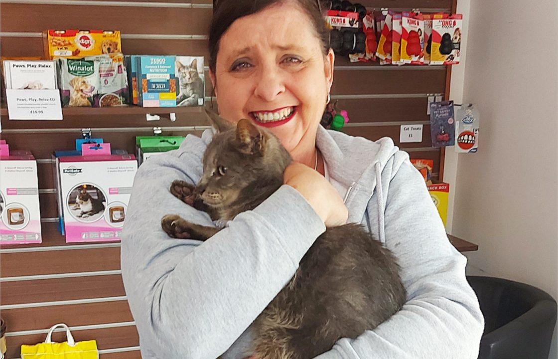 Cat found 9,000 miles from Australian home reunited with owners in Erskine