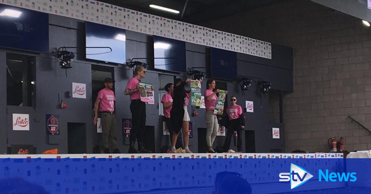 Animal Rising protestors glue themselves to sheep stalls at Royal ...