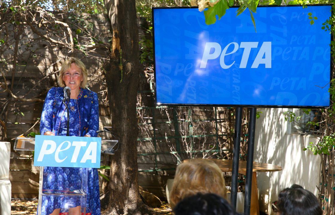 Peta founder makes request in will to send a piece of her neck to King Charles