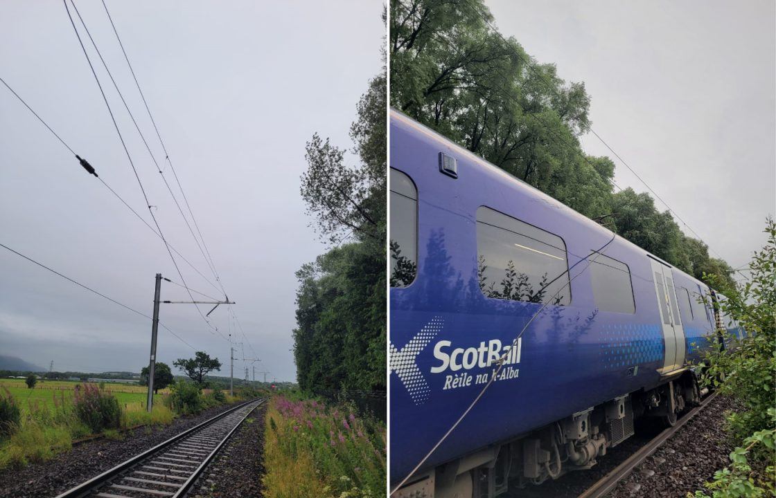 Rail services between Stirling and Alloa halted after train strikes tree and overhead cables snap
