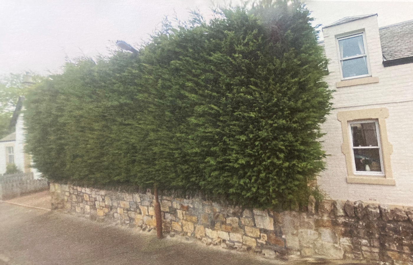Hedge outside house in Pencaitland grew so high it overshadowed the lamppost.
