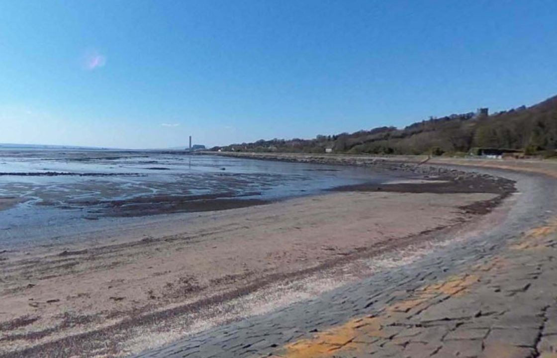 Post-mortem examinations planned as two stranded whales die on Culross shoreline in Fife
