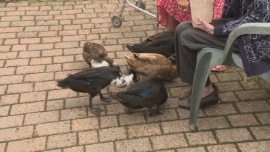 Care home residents raise ducklings to help with mental health