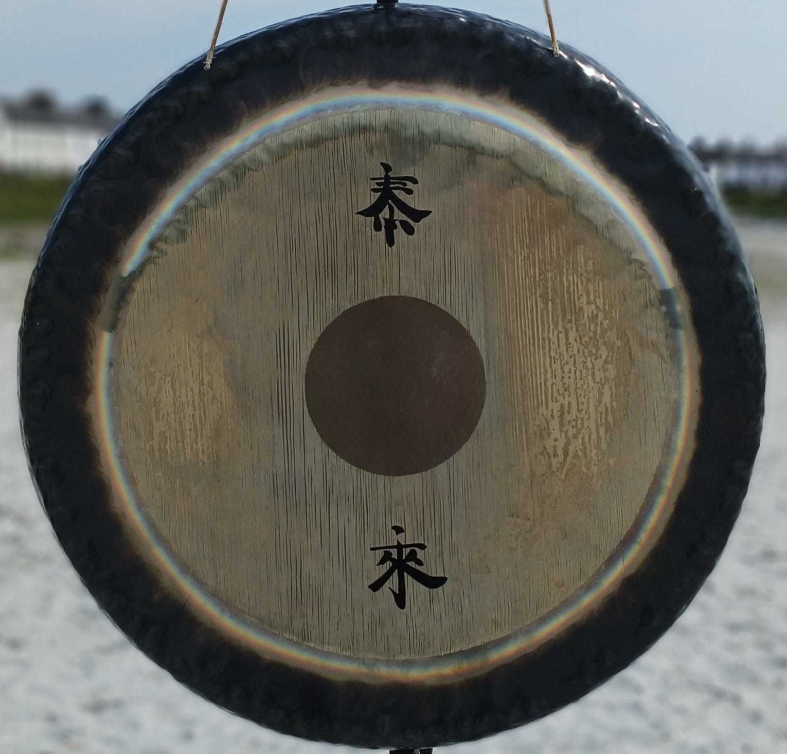 A gong worth £1,500 was also taken from the vehicle. 