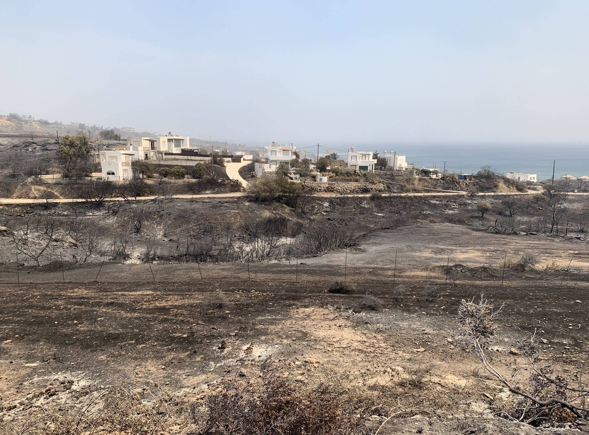 A view of burnt forestland as teams try to extinguish wildfires on Rhodes island, Greece on July 24, 2023.