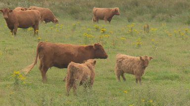 Agricultural sector urged to improve workplace safety