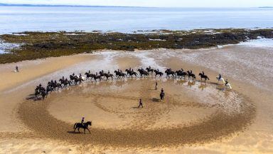 Cavalry regiment’s horses cool off at North Berwick beach