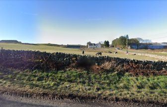 New Penicuik rural home rejected as Midlothian council say plans ‘completely unjustified’