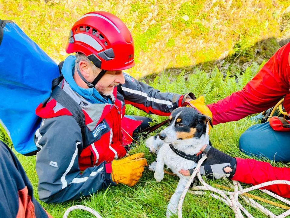 Dog rescued after 60m waterfall plunge at Grey Mare’s Tail in Dumfries and Galloway