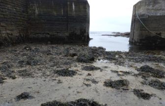 Costs ‘spiralling’ to deal with Cellardyke harbour’s historic seaweed problem – Fife Council