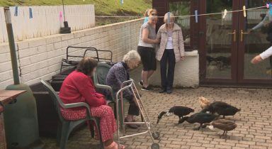 How ducks are helping Menzieshill House care home residents in Dundee with their mental health