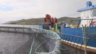 Fish farmers welcome revised government strategy