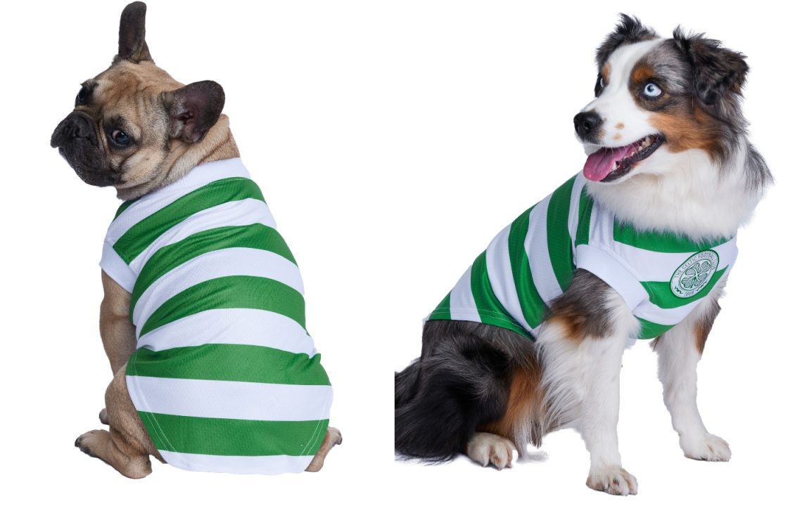 Celtic release set of dog-friendly football shirts