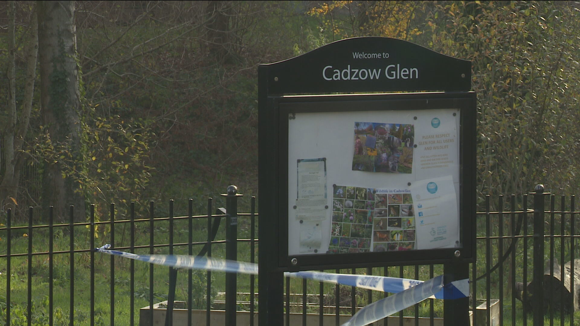 Cadzow Glen, Hamilton