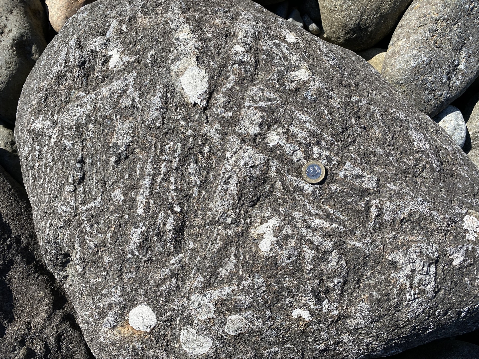 A close up of one of the Rum rock samples.