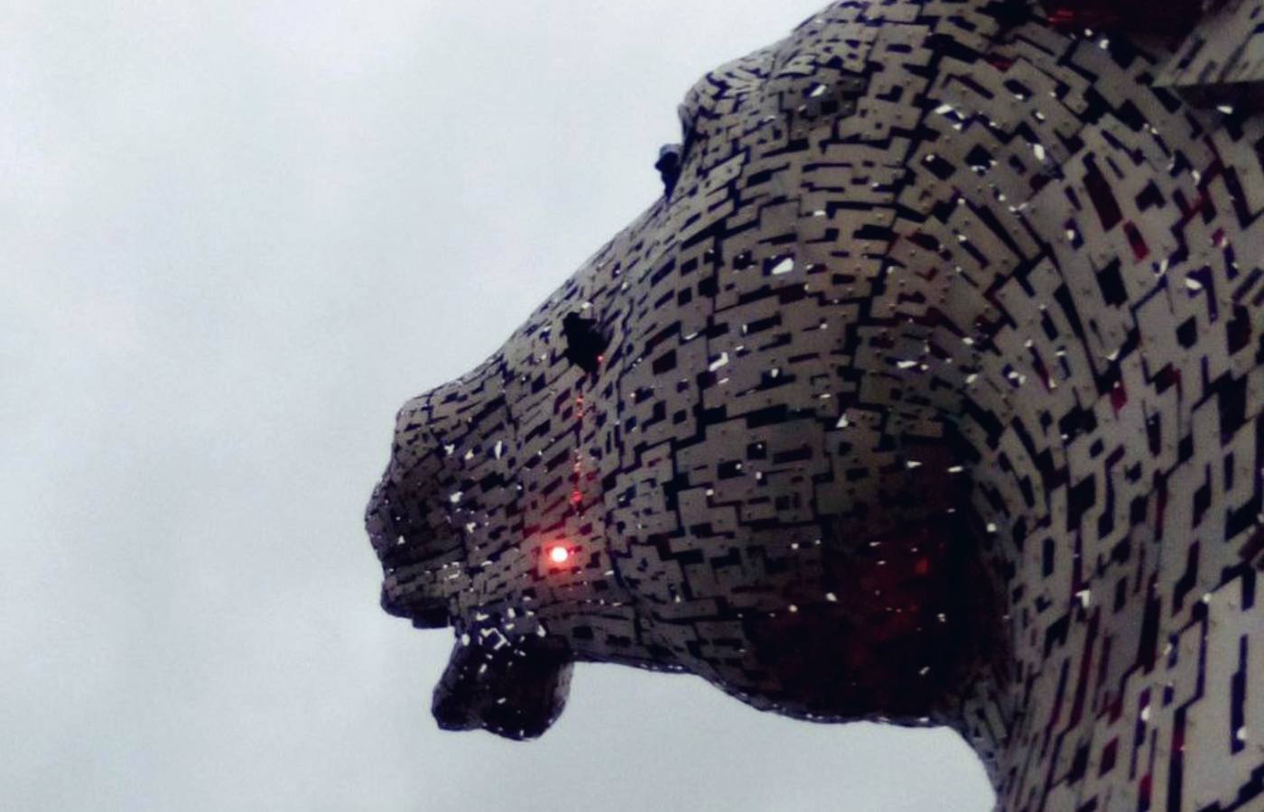 Activists scaled The Kelpies on Sunday morning. 