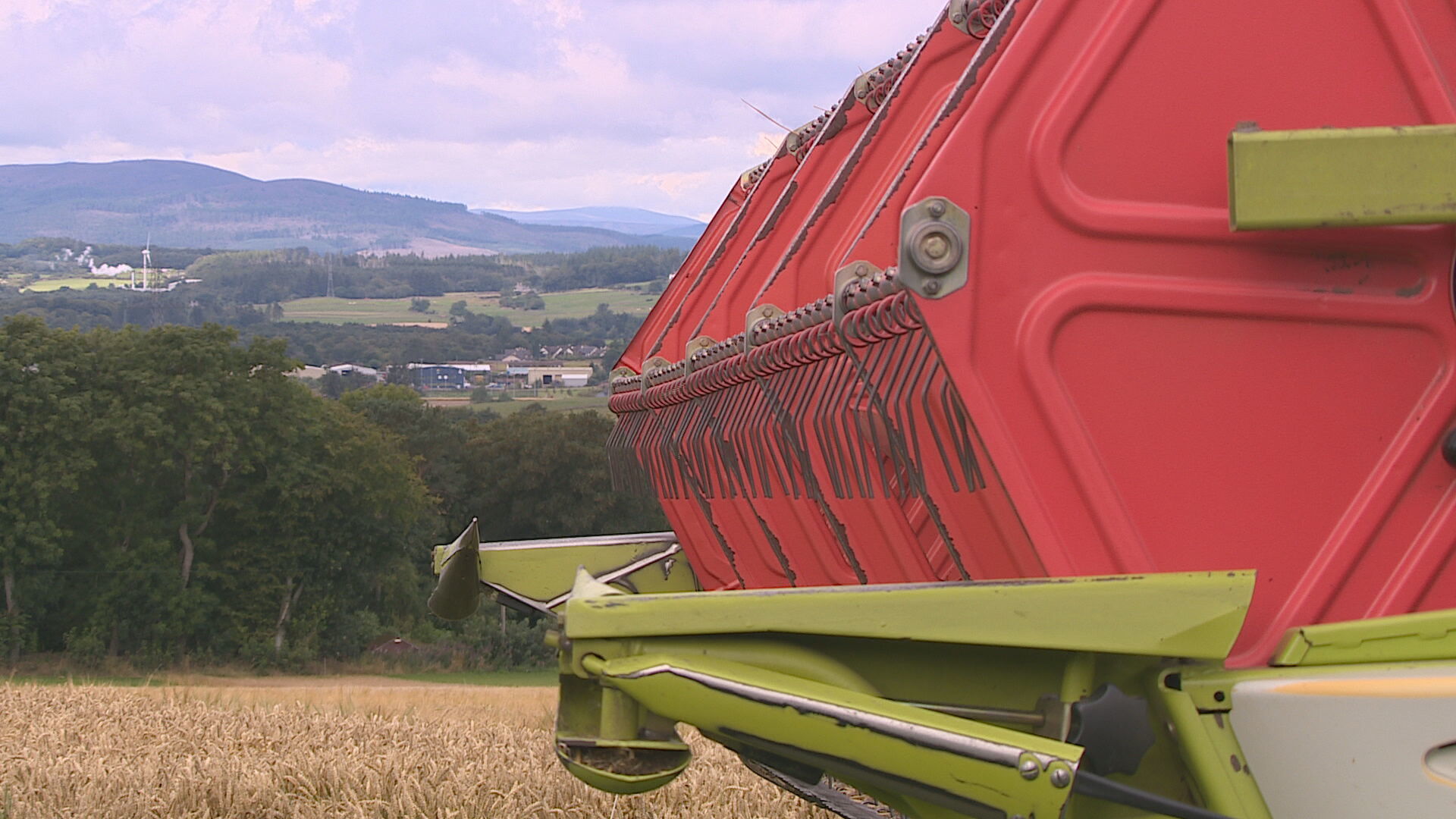Farmers fears lower profits from this harvest will have knock-on effect for next year