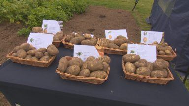 UK national potato innovation centre warns Chinese spud technology could leave country behind