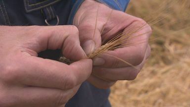 Extreme weather could see farmer lose £100,000 in profit