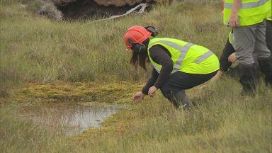 Work taking place to restore Cairngorms peatlands