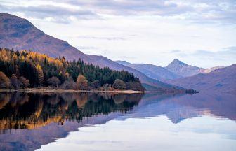 ‘More buzzing around than midges’: Over 900 bugs found in Loch Arkaig Pine Forest in Lochaber