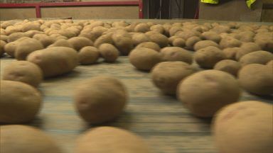 Warning UK could be ‘overtaken’ as potato research hub