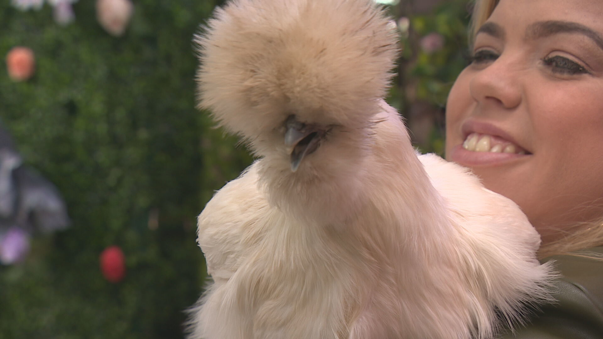 Danielle Jordan, director of Reptizoo Encounters, with rescued Silkie chicken, Lady Muck.