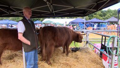 Turriff Show: Farmers say Scottish produce ‘could tackle global food insecurity’